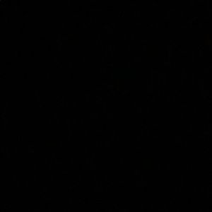 Meet your Posher, Kylie